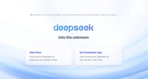 DeepSeek