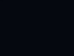 CodeGeeX