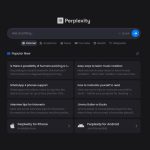 Perplexity