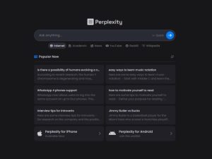 Perplexity