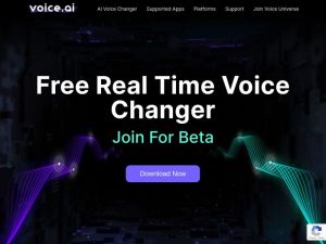 Voice AI