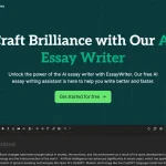 EssayWriter